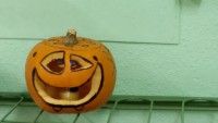 /album/fotogaleria/a20141029-092131-jpg/